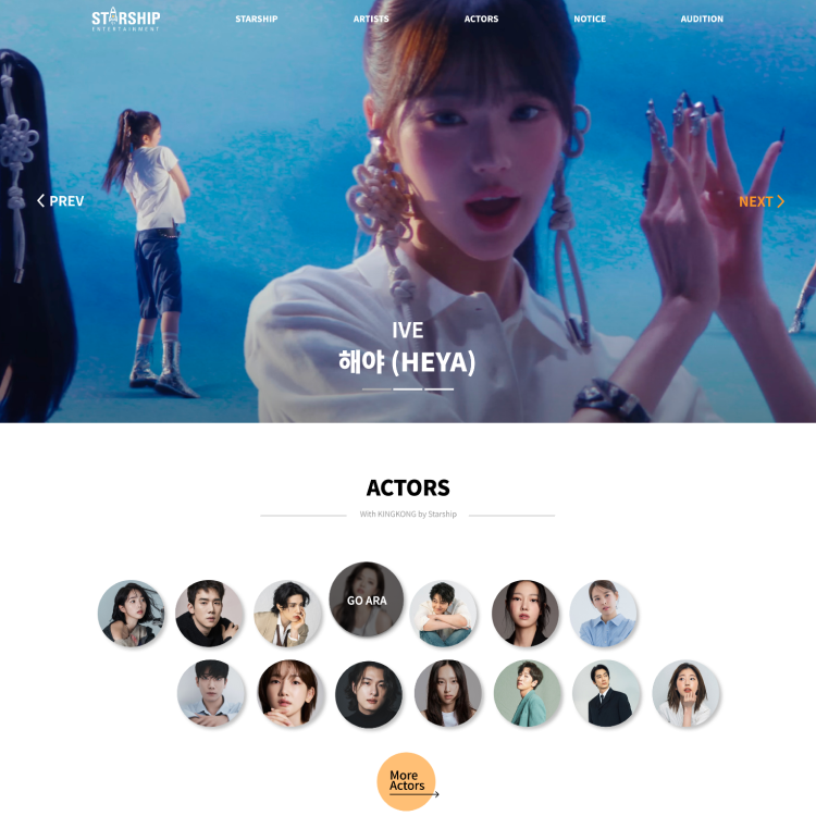 starship main page