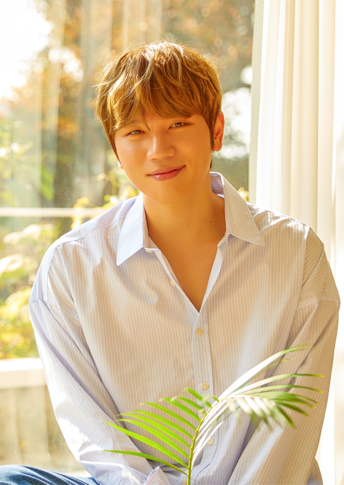 K-WILL 프로필 사진
